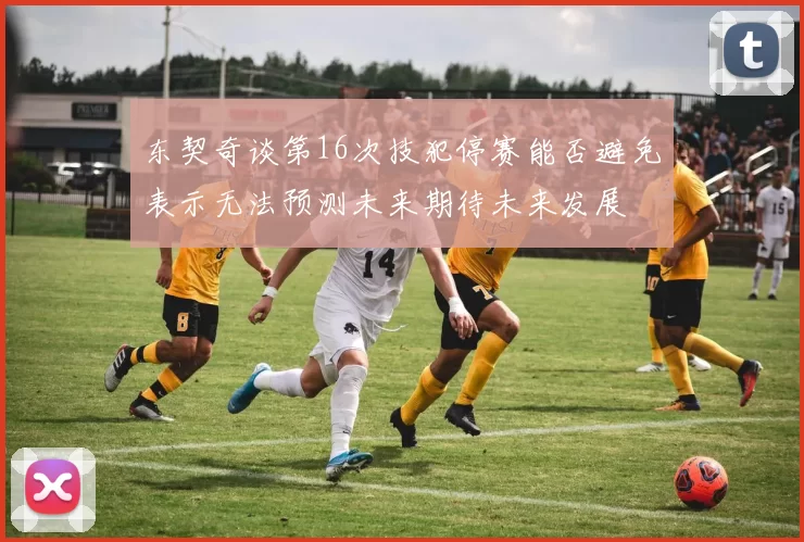 东契奇谈第16次技犯停赛能否避免表示无法预测未来期待未来发展
